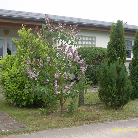 Ferienhaus Am Neuklostersee מראה חיצוני תמונה