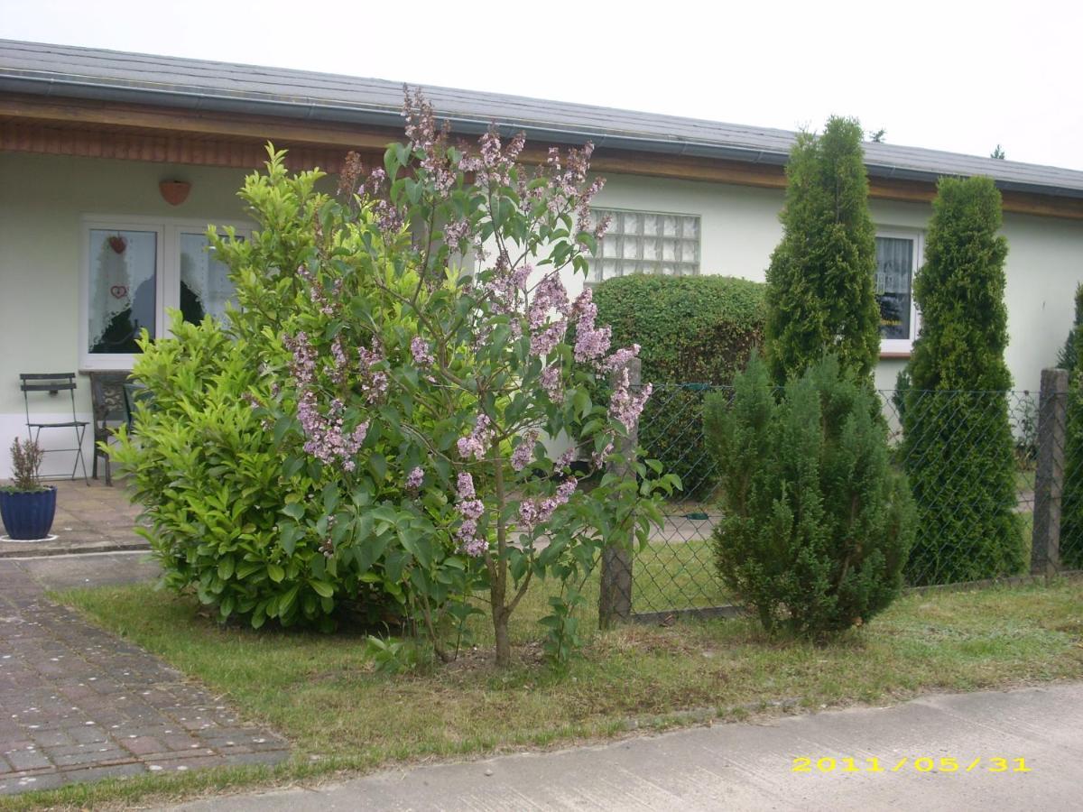 Ferienhaus Am Neuklostersee מראה חיצוני תמונה