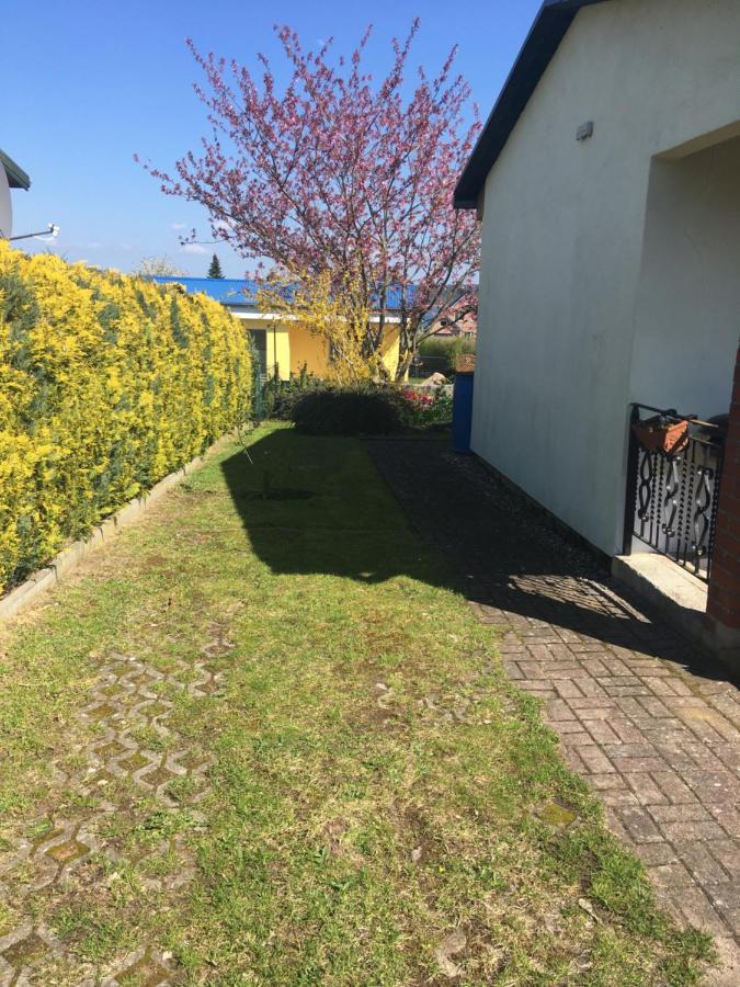 Ferienhaus Am Neuklostersee מראה חיצוני תמונה